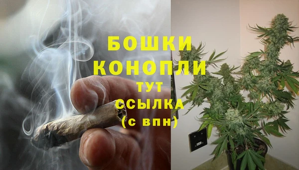 круглые Аркадак