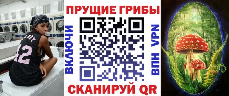 где купить Белорецк Псилоцибиновые грибы GOLDEN TEACHER